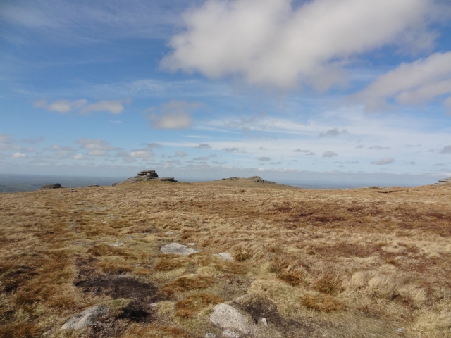 Looking Northward toward Yes Tor in the far distance.
